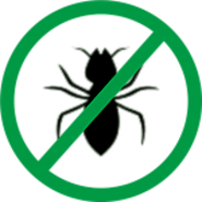 Best Pest Control Services in Delhi | Pest Control Delhi Price