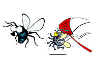 HOW TO GET RID OF HOUSE FLIES: 7 MOST EFFECTIVE METHODS - Pest Control