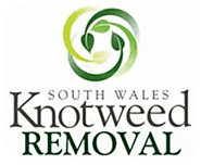 Knotweed Treatment and Control Port Talbot - South Wales Knotweed Removal