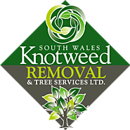 Tree Felling - South Wales Knotweed Removal