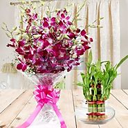 Send Floral Expressions Online