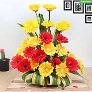 Vivid Memories - Send Flowers Online @ YuvaFlowers.com