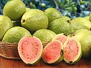 Best Guava Suppliers in India