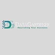 Profits Of Appoint Data Extraction Services