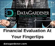 Effective Ways For Financial Evaluation