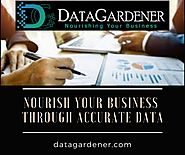 Importance Of Data In Business Management