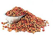 US Pet Food Market Size, Share, Trends and Forecast 2018-2023 - IMARC Group