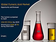 Fumaric Acid Market Size, Price Trends and Forecast 2019-2024 | IMARC Group