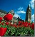 Canadian Tulip Festival, Ottawa