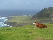 Tristan da Cunha - is the most remote archipelago in the world