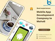 Best Mobile App Development Company In Mohali | Backup Infotech