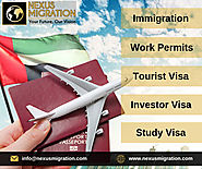 Best Immigration Consultants in Dubai