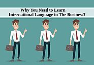 Why You Need to Learn International Language in The Business?