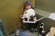 These Photos of Kids Reading to Cats Will Make Your Week