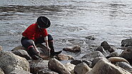 A Complete Guide to Panning For Gold on the American River