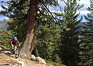 Are you interested in adventure sports? Try mountain biking!