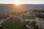 Best Local Wineries And Tours in Placerville With Visit El Dorado