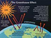 Greenhouses Gases and the Environment