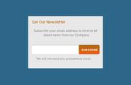 Subscribe Newsletter - Web Design Hood