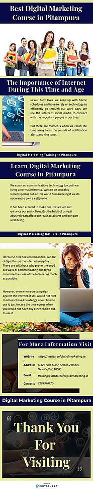 Digital Marketing Course in Pitampura - Infographic