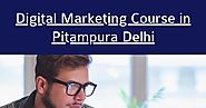 Best Digital Marketing Institute in Pitampura - Infographic