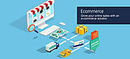 Ecommerce Website Development Company in Hyderabad | Webprobity