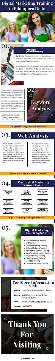 Digital Marketing Training in Pitampura Delhi - Infographic