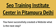 Seo Training in Pitampura Delhi - Infographic