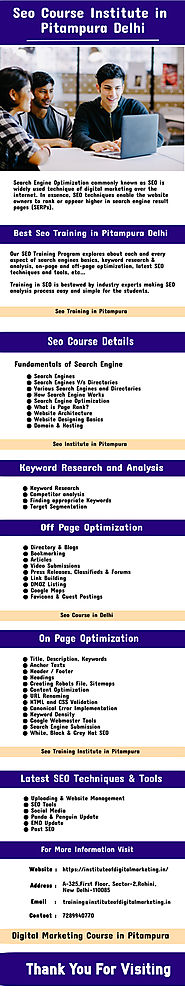 Seo Course in Pitampura - Infographic