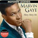 Marvin Gaye - Mercy Mercy Me
