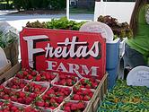 South Boston Farmers Market - Local Food Guide - Metro Boston MA
