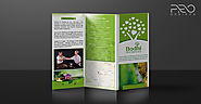 Brochure Design | Business Brochure Design - BasilStaples’s blog