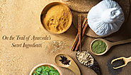 The Rise In Popularity Of Organic Skin Care Brands | Khadi Essentials