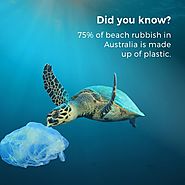Plastic Rubbish is the real threat to Beach in Australia