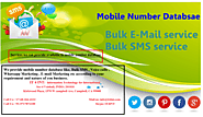 Mobile Number Database Provider
