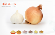 Dehydrated Onion Powder - For Completing A Food | Dry Food Information Guide - Article | Blog on WordPress.com