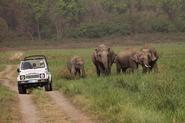 Uttaranchal Tour package make you tour more exiting with Jim Corbett Package Tour