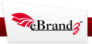 eBrandz- Search Engine Optimization Company India, Professional SEO Services Firm