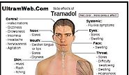 Buy Tramadol Online Overnight Delivery No Prescription