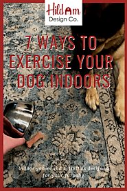 Website at https://hildam.ca/7-ways-to-exercise-your-dog-indoors