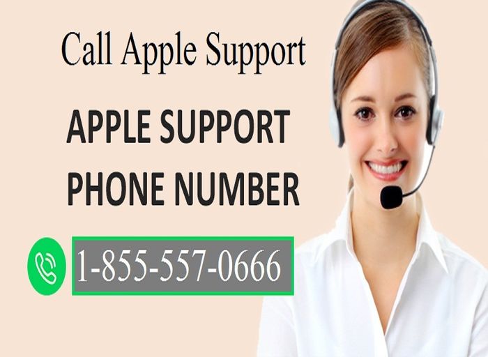 developer apple support phone number