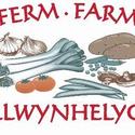 Llwynhelyg Farm Shop (@fodderforfoodys)