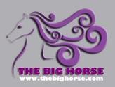 The Big Horse  (@TheBigHorse2012)