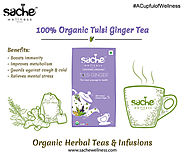 Organic Tulsi Ginger Tea for Cold & Flu