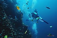 First Time Having Wreck Diving in Bali? Here’s What You Need to Do | Purfectlychic