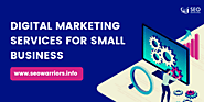 Digital Marketing Service For Small Business