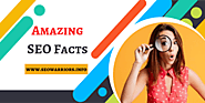Amazing Facts About SEO That Will Boost Your Business - SEO Warriors