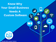 Why You Need a Custom Software for Your Small Business ? | Blog