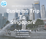 CDN Software Solutions Will Be On A Business Trip To Singapore From 10th June – 28th June, 2019 | Blog