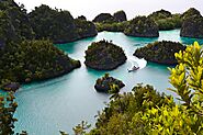 Raja Ampat Liveaboard, Explore the Enchantment of Underwater Indonesia